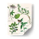 Ensamblaje Dulce I - Melissa Wang | Cuadro decorativo de Canvas Lab