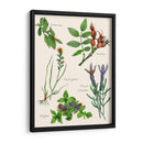 Ensamblaje Dulce Ii - Melissa Wang | Cuadro decorativo de Canvas Lab