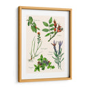 Ensamblaje Dulce Ii - Melissa Wang | Cuadro decorativo de Canvas Lab