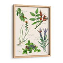 Ensamblaje Dulce Ii - Melissa Wang | Cuadro decorativo de Canvas Lab