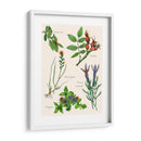 Ensamblaje Dulce Ii - Melissa Wang | Cuadro decorativo de Canvas Lab