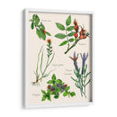 Ensamblaje Dulce Ii - Melissa Wang | Cuadro decorativo de Canvas Lab