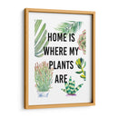 Planta Amor Vi - Studio W | Cuadro decorativo de Canvas Lab