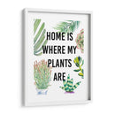 Planta Amor Vi - Studio W | Cuadro decorativo de Canvas Lab