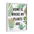 Planta Amor Vi - Studio W | Cuadro decorativo de Canvas Lab