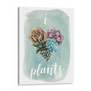 La Vida Es Suculenta Ii - Grace Popp | Cuadro decorativo de Canvas Lab