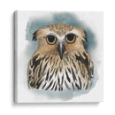 Greenwood Animals Ii - Grace Popp | Cuadro decorativo de Canvas Lab