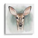 Greenwood Animals Iii - Grace Popp | Cuadro decorativo de Canvas Lab