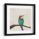 Perfil De Aves Ii - Sandra Iafrate | Cuadro decorativo de Canvas Lab