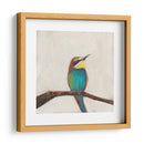 Perfil De Aves Ii - Sandra Iafrate | Cuadro decorativo de Canvas Lab