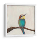 Perfil De Aves Ii - Sandra Iafrate | Cuadro decorativo de Canvas Lab