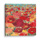 Campo De Flor Silvestre Ii - Sandra Iafrate | Cuadro decorativo de Canvas Lab