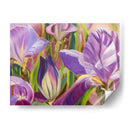 Detalles Del Iris I - Sandra Iafrate | Cuadro decorativo de Canvas Lab