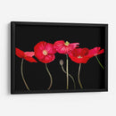 Amapolas Dramáticas - Sandra Iafrate | Cuadro decorativo de Canvas Lab