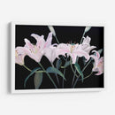 Lirios Dramáticos - Sandra Iafrate | Cuadro decorativo de Canvas Lab