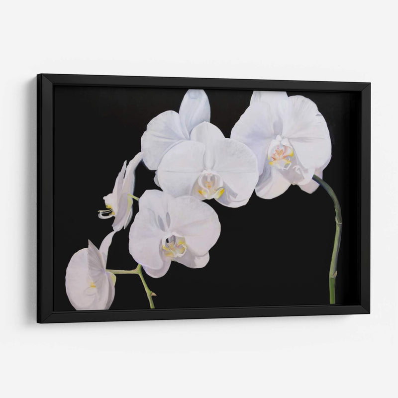 Orquídeas Dramáticas I - Sandra Iafrate | Cuadro decorativo de Canvas Lab