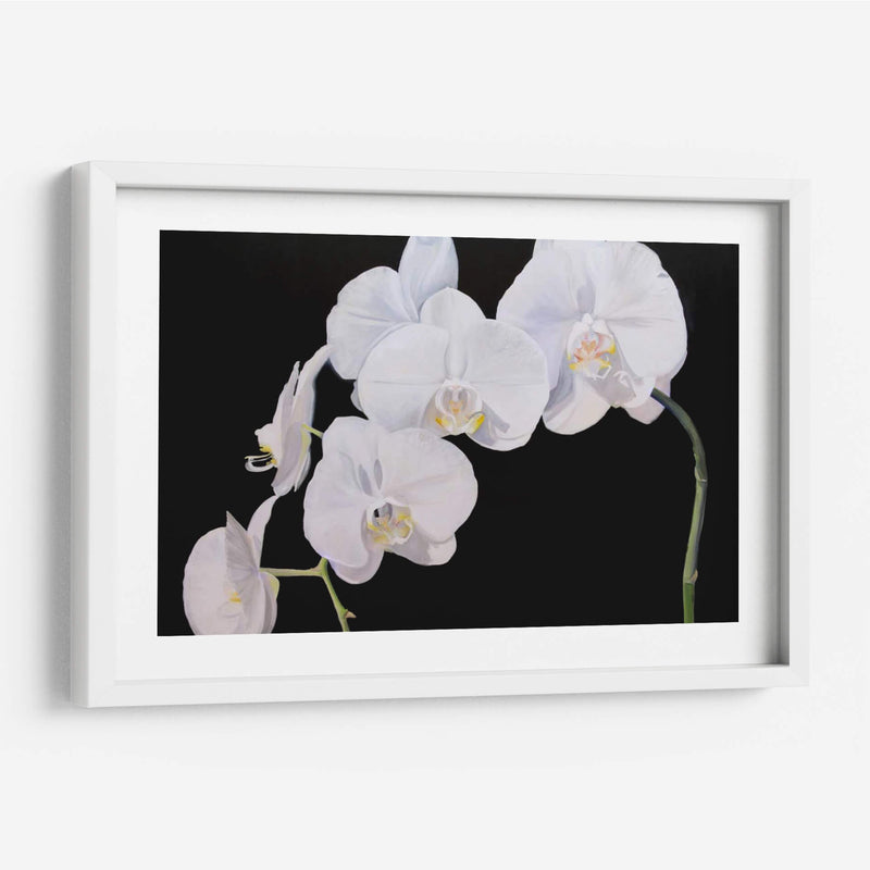 Orquídeas Dramáticas I - Sandra Iafrate | Cuadro decorativo de Canvas Lab