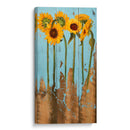 Girasoles En Madera Ii - Sandra Iafrate | Cuadro decorativo de Canvas Lab