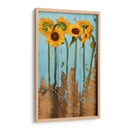 Girasoles En Madera Ii - Sandra Iafrate | Cuadro decorativo de Canvas Lab
