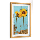 Girasoles En Madera Iii - Sandra Iafrate | Cuadro decorativo de Canvas Lab