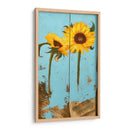Girasoles En Madera Iii - Sandra Iafrate | Cuadro decorativo de Canvas Lab