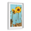 Girasoles En Madera Iii - Sandra Iafrate | Cuadro decorativo de Canvas Lab