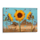 Girasoles En Madera Iv - Sandra Iafrate | Cuadro decorativo de Canvas Lab