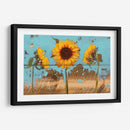 Girasoles En Madera Iv - Sandra Iafrate | Cuadro decorativo de Canvas Lab
