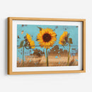 Girasoles En Madera Iv - Sandra Iafrate | Cuadro decorativo de Canvas Lab