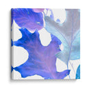 Xray Deja Ii - Vision Studio | Cuadro decorativo de Canvas Lab