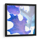 Xray Deja Ii - Vision Studio | Cuadro decorativo de Canvas Lab