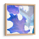 Xray Deja Ii - Vision Studio | Cuadro decorativo de Canvas Lab