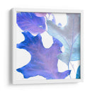 Xray Deja Ii - Vision Studio | Cuadro decorativo de Canvas Lab