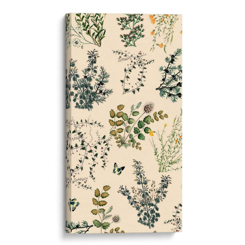 Espigas Salvajes I - Prunis Dulcis | Cuadro decorativo de Canvas Lab