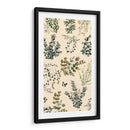 Espigas Salvajes I - Prunis Dulcis | Cuadro decorativo de Canvas Lab