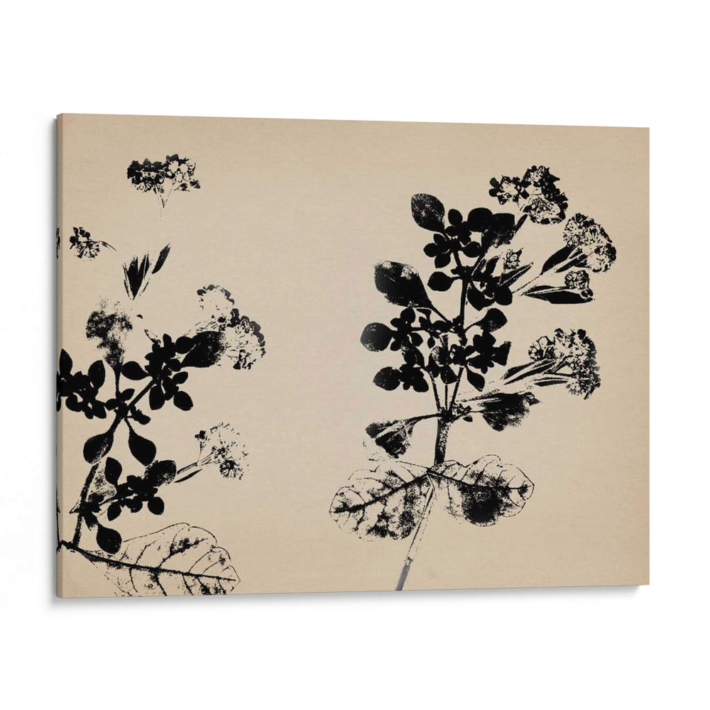 Belleza De Un Amigo I - Jennifer Jorgensen | Cuadro decorativo de Canvas Lab
