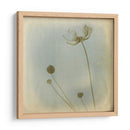 Se Desvaneció I - Jennifer Jorgensen | Cuadro decorativo de Canvas Lab