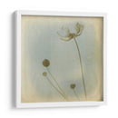 Se Desvaneció I - Jennifer Jorgensen | Cuadro decorativo de Canvas Lab