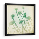 Se Desvaneció Ii - Jennifer Jorgensen | Cuadro decorativo de Canvas Lab