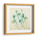 Se Desvaneció Ii - Jennifer Jorgensen | Cuadro decorativo de Canvas Lab