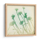 Se Desvaneció Ii - Jennifer Jorgensen | Cuadro decorativo de Canvas Lab