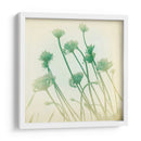 Se Desvaneció Ii - Jennifer Jorgensen | Cuadro decorativo de Canvas Lab