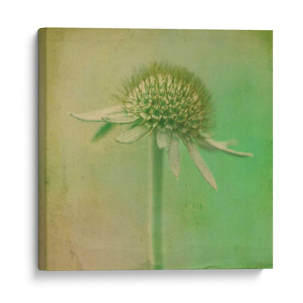 Se Desvaneció Iii - Jennifer Jorgensen | Cuadro decorativo de Canvas Lab