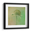 Se Desvaneció Iii - Jennifer Jorgensen | Cuadro decorativo de Canvas Lab