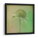 Se Desvaneció Iii - Jennifer Jorgensen | Cuadro decorativo de Canvas Lab