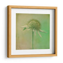 Se Desvaneció Iii - Jennifer Jorgensen | Cuadro decorativo de Canvas Lab