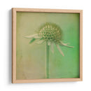 Se Desvaneció Iii - Jennifer Jorgensen | Cuadro decorativo de Canvas Lab