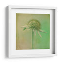 Se Desvaneció Iii - Jennifer Jorgensen | Cuadro decorativo de Canvas Lab