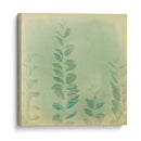 Se Desvaneció Iv - Jennifer Jorgensen | Cuadro decorativo de Canvas Lab