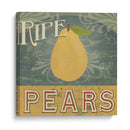 Stand De Granja V - June Erica Vess | Cuadro decorativo de Canvas Lab